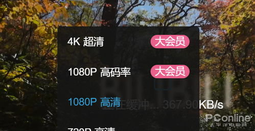 2024年正版资料免费大全视频|综合研究解释落实_HDR型.8.543